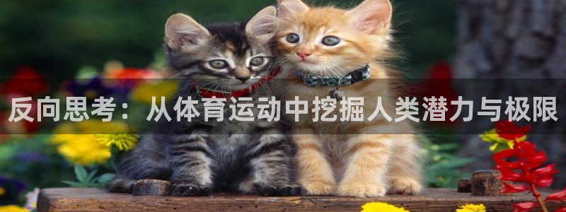 vsport体育在线官网