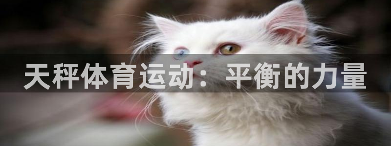 vsport体育在线官网