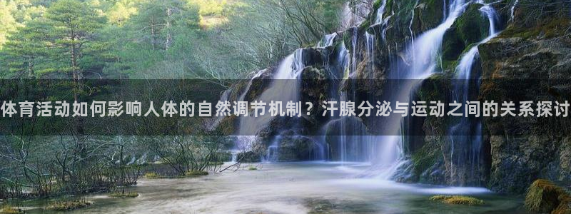 vsport体育在线官网