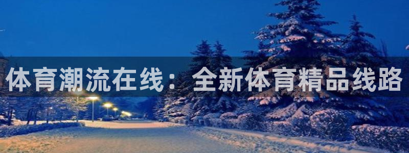 vsport体育
