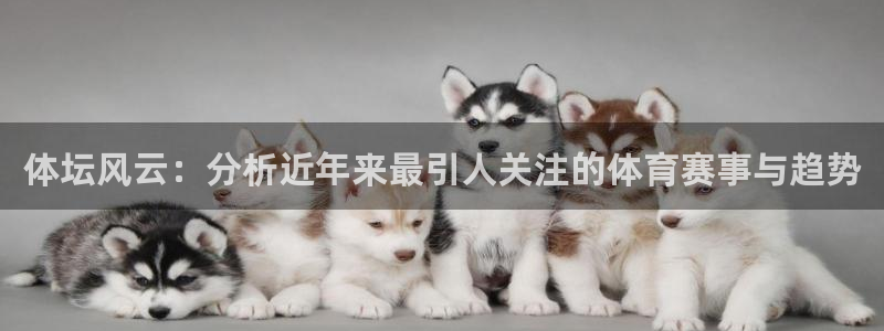 vsport体育在线官网