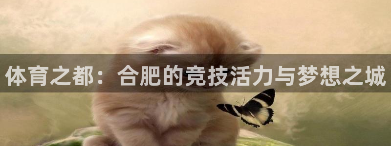 vsport体育在线官网